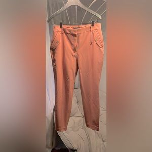 Express Slim Fit Pants